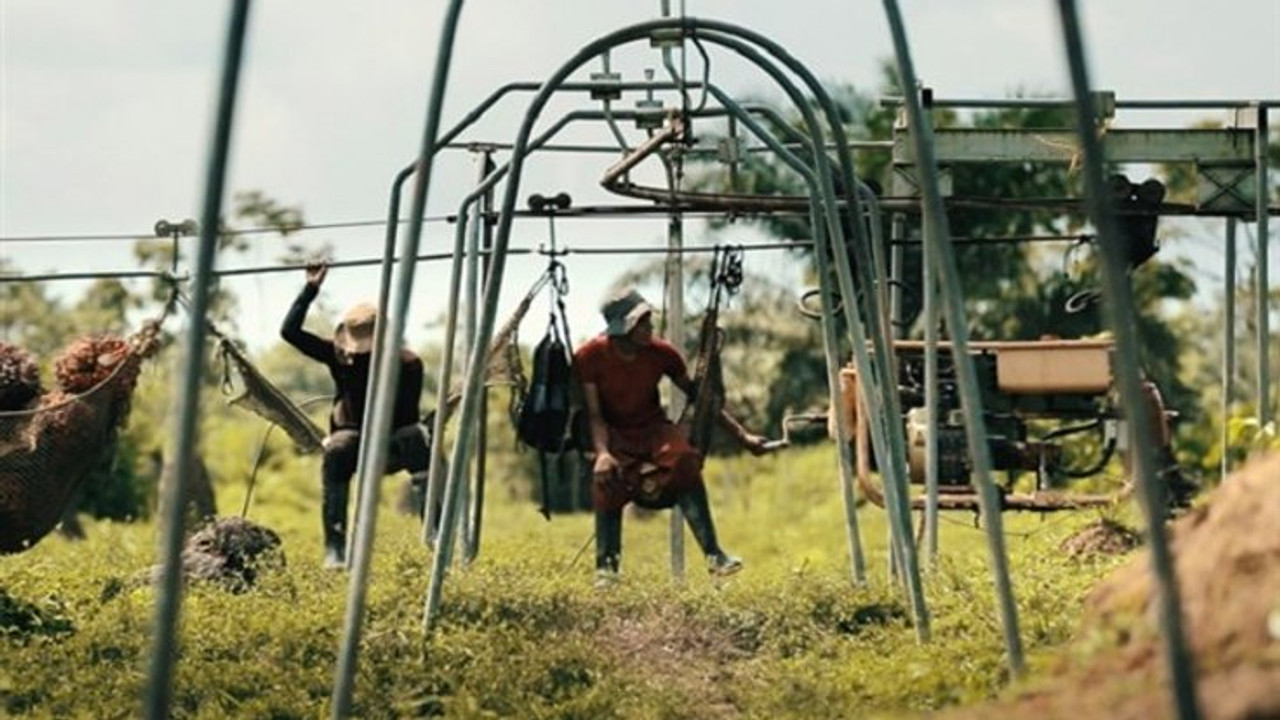 Ekolojik belgesel filmler Bozcaada�da gösterilecek