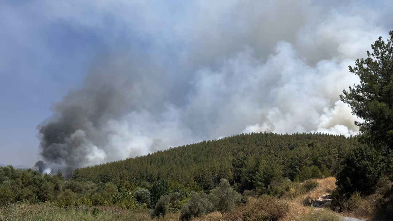 Muğla Yatağan'da yangın çıktı