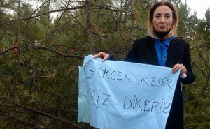 Acılar, anılar ve ODTÜ ormanı - Resim : 3