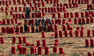 Türkiye’nin tam ortasında ne var? - Resim : 10