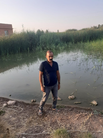 Urfa'da tamamlanmadan açılan sulama projesi 6 köyü bataklığa çevirdi - Resim : 2