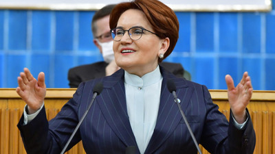 Akşener'den MHP'li yöneticilere 'Fosforlu Meral' tepkisi: Kereste gibi yaşam formları