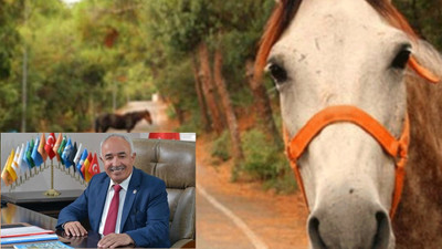 Hibe atların kaybolmasıyla ilgili soruşturma açılan Dörtyol Belediye Başkanı MHP'den istifa etti