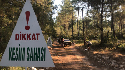 Akbelen Ormanı'nda kesim başladı, köylüler nöbet tutuyor