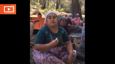 Görüntülerle Akbelen direnişi: 'Limak aklını başına devşir'