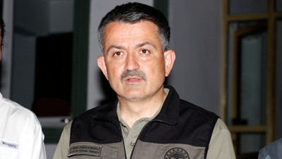 Bakan Pakdemirli, yangınlarda sorumluluğu belediyelere attı