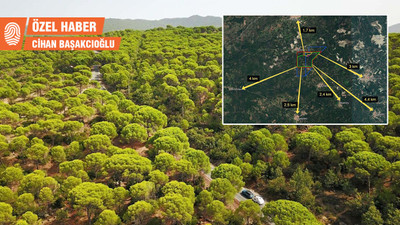 Kozak'ta talan projesi: Doğayı katledince de ‘katil’ olursunuz