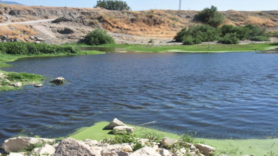 Gediz Nehri'ndeki kirlilik Dark Waters filmini hatırlattı