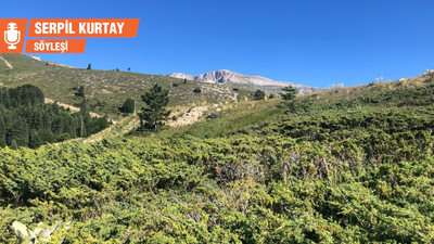 Uludağ'ı bir de yazın görün