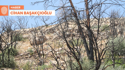Yangın sonrası köylüler arazilerini satıyor: Yetkililer unuttu, destek yetersiz