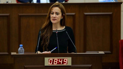 KKTC'li vekilden Erdoğan'a: İsteyen istediği yerde hamasetini yapsın