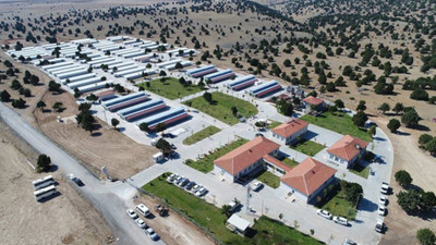 Konya'daki barınaktan online sahiplendirme yapılacak