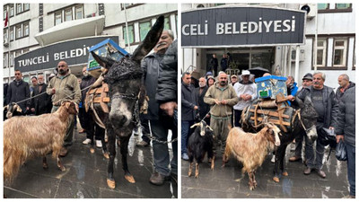 Dersim Belediyesi önünde eşekli, keçili protesto
