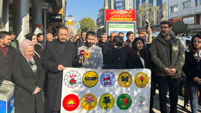DBP’ye yönelik operasyonlar Van’da ve Bingöl'de protesto edildi