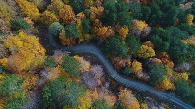 Çevrecilerden Kazdağları için uyarı: Maden faaliyeti sonlandırılsın