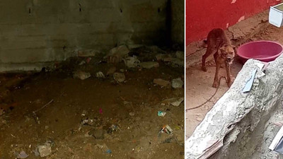 Yavru köpeğe günlerce şiddet uyguladı, tepki gösterenleri tehdit etti