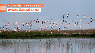 Aslında biz doğayı sevmedik…