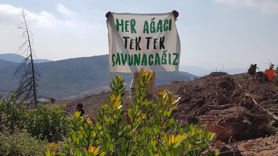 Kazdağları için Danıştay'dan Cengiz Holding'e onay