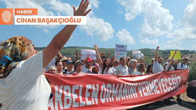 Ülkenin dört bir yanından yaşam savunucuları Akbelen'de