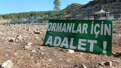 Akbelen’de ağaç kesimine direnen köylüler TBMM Genel Kurulu’nu izleyecek