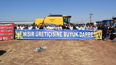 Mısır alım fiyatına üreticilerden tepki: 'Maliyeti 8 bin liranın üzerinde'