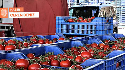 Tarlada ürün azaldı, kasada fiyatı uçtu