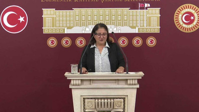 DEM Parti'li Kordu, Munzur Gözeleri'ni iki bakana sordu