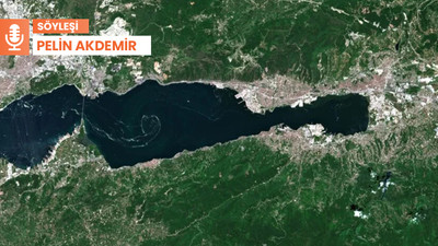 Marmara Denizi'ni eylem planı da kurtaramadı: 'Artık daha kirli...'