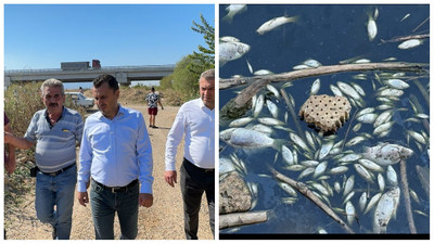 CHP'li Başevirgen, kirletilen Gediz Nehri'nde incelemelerde bulundu
