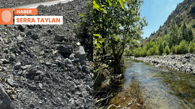 Alacakaya Belediyesi ile Eti Krom maden yüzünden karşı karşıya: 'Doğmamış çocuğun hakkını yedirmeyiz'