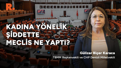 Erkek şiddeti: Meclis ne önerdi, hangileri hayata geçirildi?