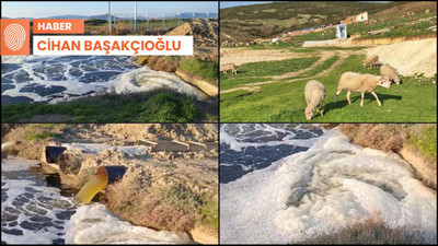 Gediz Nehri’ne bırakılan atık su yaşamı tehdit ediyor: ‘Çalmadığımız kapı kalmadı’