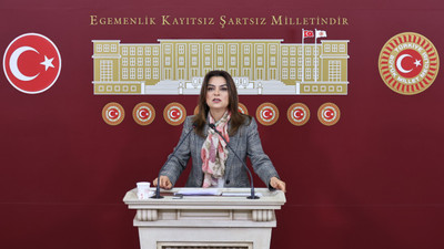 Koçyiğit: Heyetimiz birkaç gün içerisinde İmralı'ya gidecek