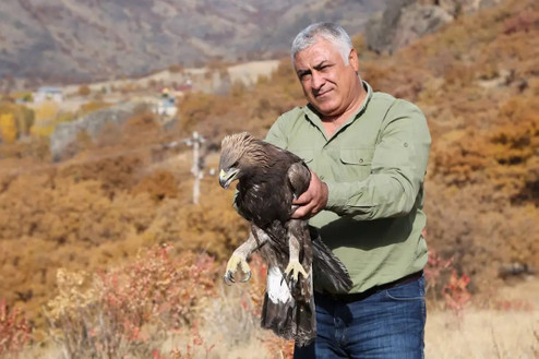 'Biri bizi gözetliyor': Drone yaban hayattaki hayvanları strese sokuyor - Resim : 3