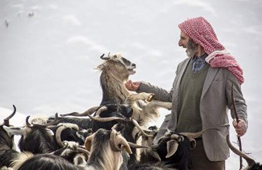 Bir gün bulursa beni ölüm, bil ki seni sevmiştim Bingöl’üm - Resim : 5