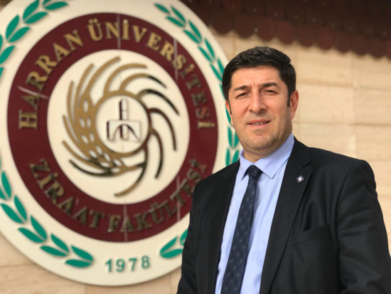 Urfa'da kuraklık: 'DSİ su bıraktı ama geç kaldı' - Resim : 1