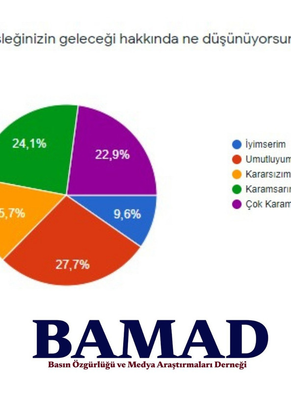 BAMAD anketi: Gazetecilerin yüzde 73,5'i geçinemiyor - Resim : 1