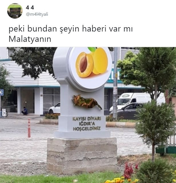Malatya, Malatya, bulunmaz eşin - Resim : 2
