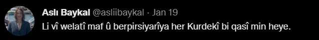Aslı Baykal Kürtçesi - Resim : 1