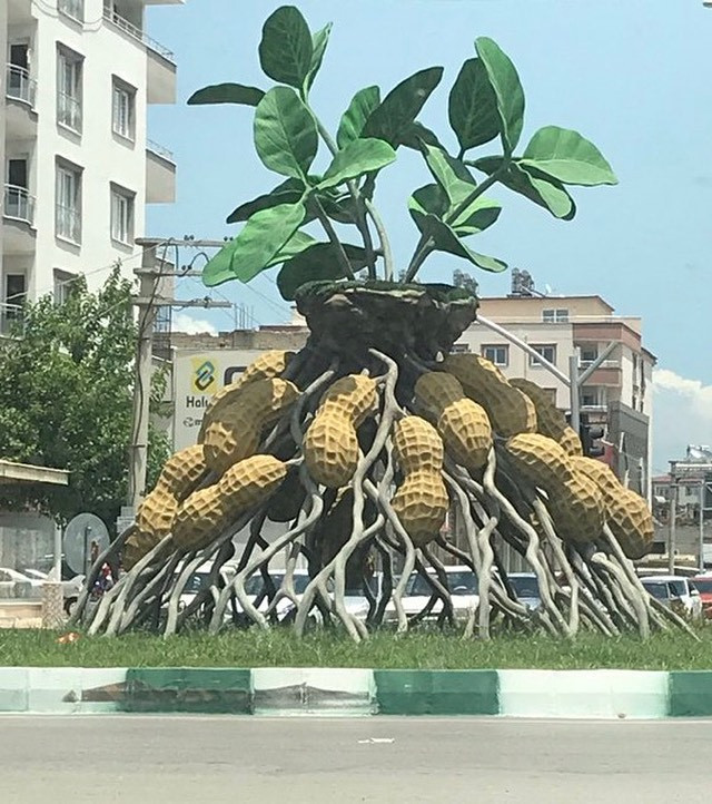 Osmaniye merkez, kafasına göre herkes - Resim : 4