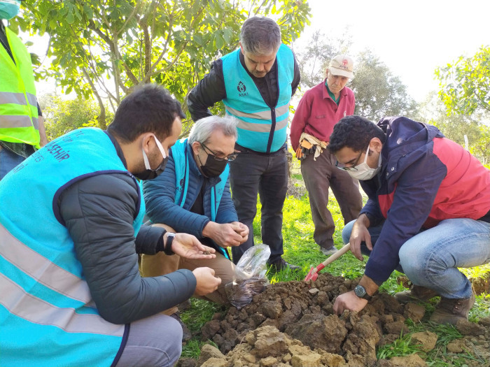 Germencik'teki dev yarıklar incelendi: Nedeni kuraklık - Resim : 1