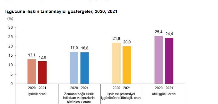TÜİK hesabı: 2021'de işsizlik yüzde 24,4 oldu - Resim : 1