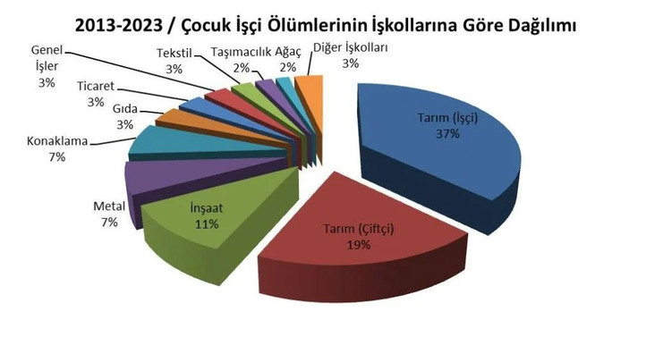‘Meslek öğrenirken’ ölünür mü? - Resim : 1