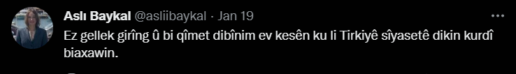 Aslı Baykal Kürtçesi - Resim : 3