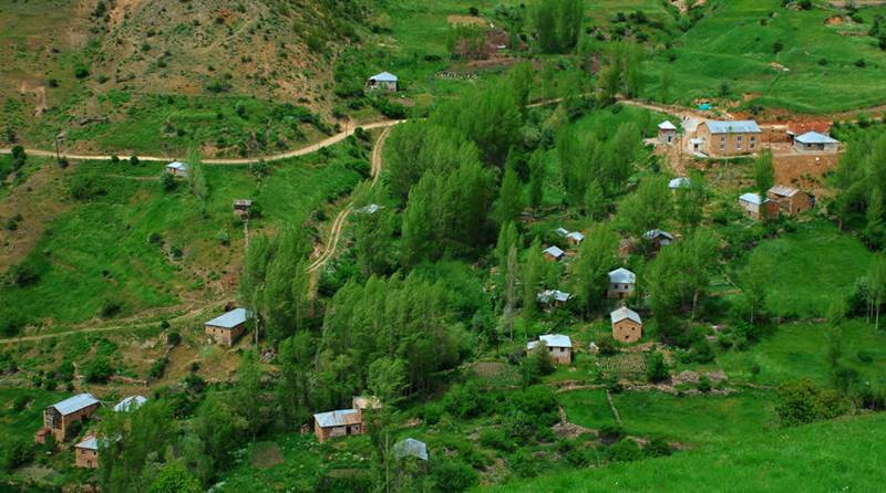 Evleri hane hane, parlayi Gümüşhane - Resim : 6