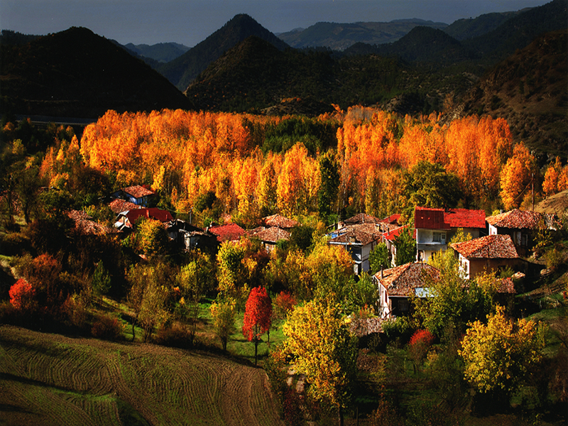 Vatan, millet, Sakarya - Resim : 11