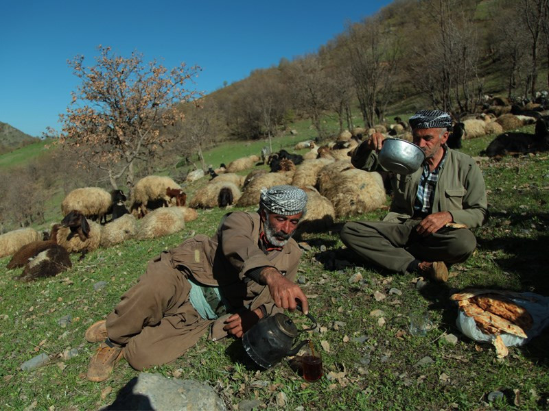 Şırnak ne zaman hayat bulacak? - Resim : 17