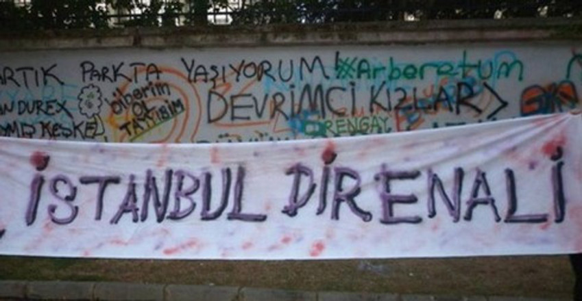 Kamusal alanın fay hatları - Resim : 5