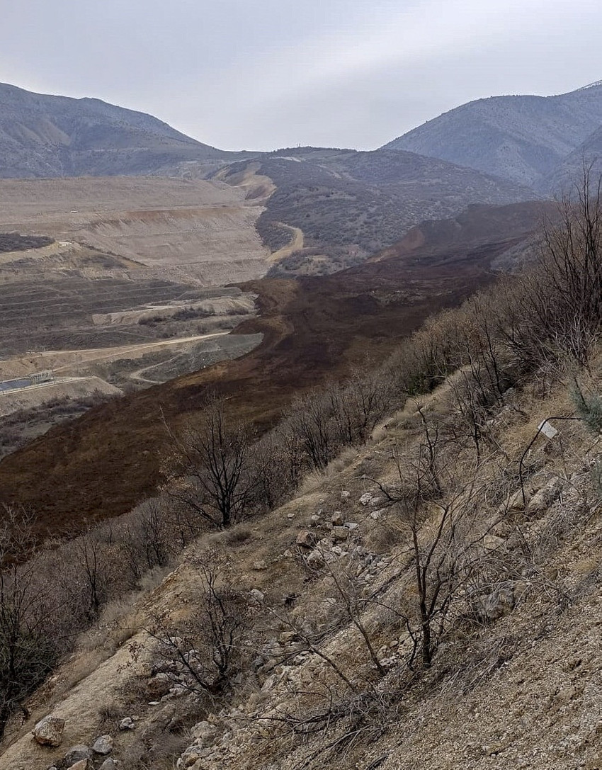 Erzincan İliç'te katliam... Ali Yerlikaya: 100 dönümlük alana yayıldı - Resim : 2