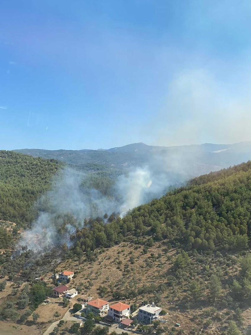 Muğla'nın Milas ilçesinde orman yangını çıktı - Resim : 1